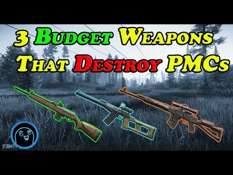 3 Budget Weapons That Destroy PMC's - Escape from Tarkov