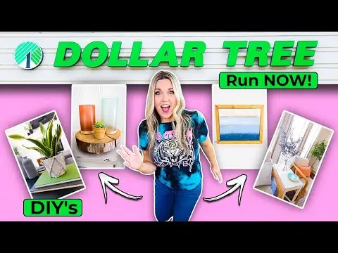 Run to Dollar Tree!!! DIY's You Seriously HAVE To Try!
