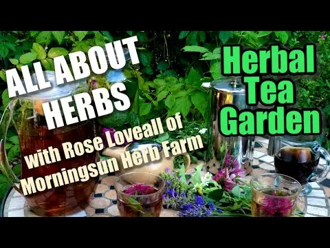 8/8 Herbal Tea Garden - Morningsun Herb Farm's 8-video series 