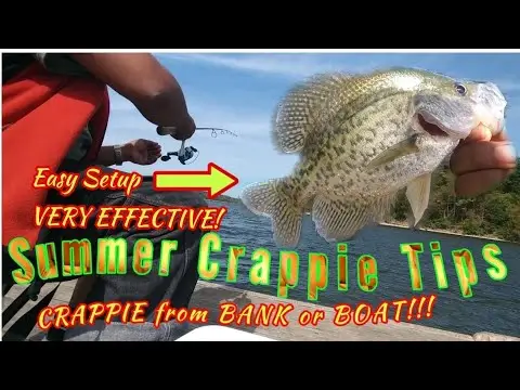 Summer Crappie Tips! EASY FROM BANK OR BOAT!!! Crappie Town USA Baby