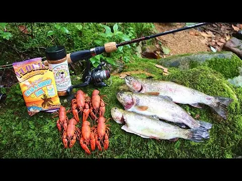 Crawfish + Trout Cookout on the Appalachian Trail!