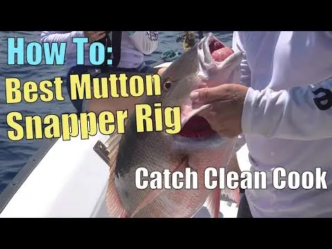 How To: Best Fishing Rig to Catch MONSTER Mutton Snapper off Key Largo | Catch Clean Cook