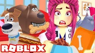 Adopting My Very First Pet In Roblox Ytread - roblox feed your pet star gems