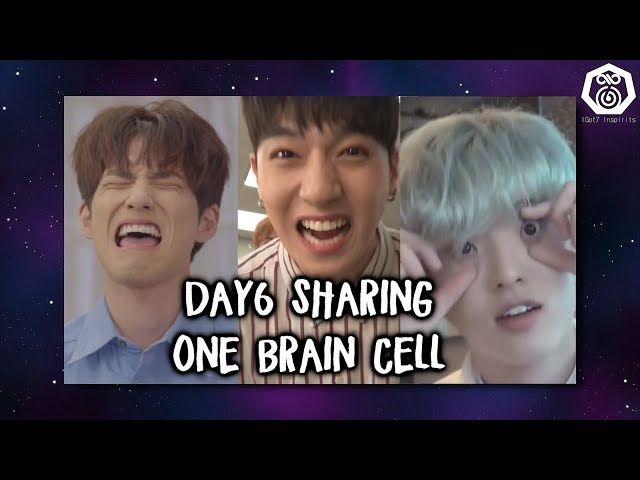 Day6 sharing their only brain cell