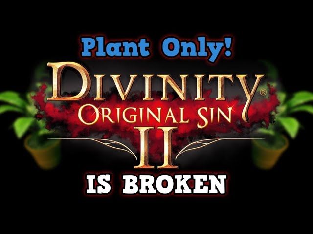 divinity original sin 2 gold glitch