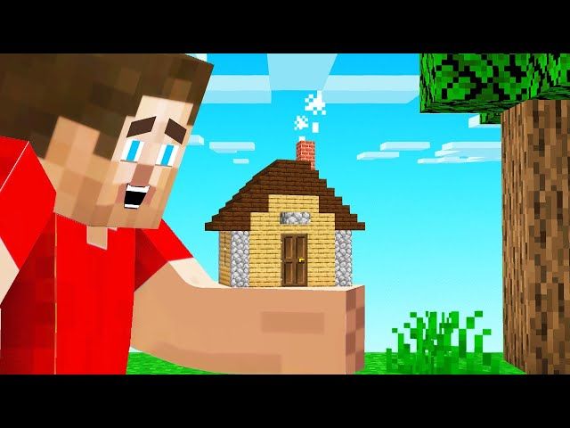 We Built The Smallest Houses In Minecraft Ytread