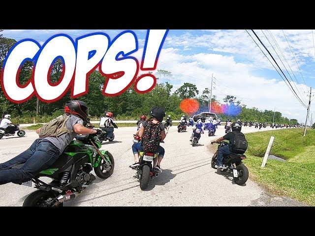 COPS vs 300+ Honda Groms!