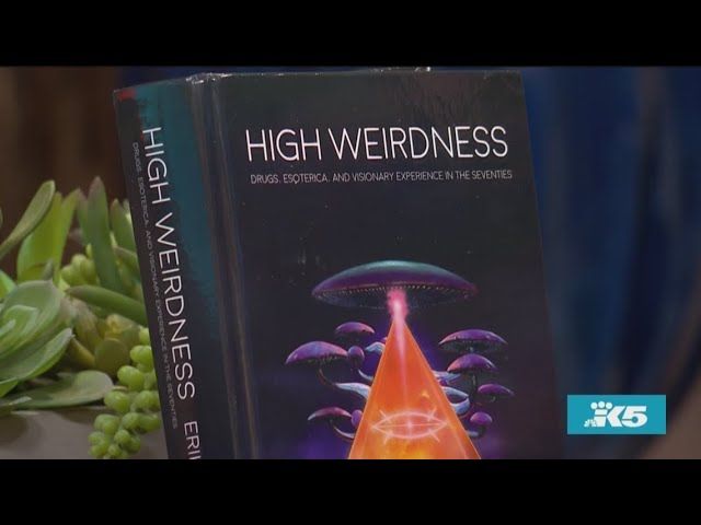 Erik Davis' new book 'High Weirdness' explores how 3 authors in the 1970s changed the way readers ex