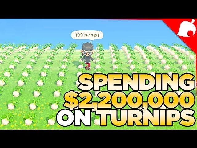 I Spend 2 Million Bells on Turnips in Animal Crossing New Horizons