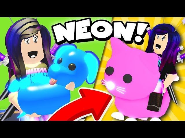 Neon Pink Cat And Neon Blue Dog In Roblox Adopt Me Ytread - cat in roblox