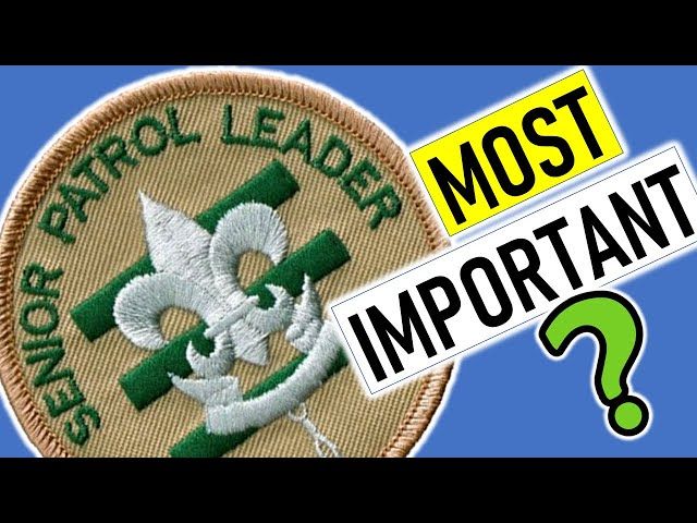 Most Important Scouting Job - Eagle Scout October Status Update