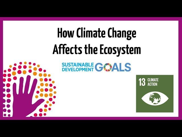 How Climate Change Affects the Ecosystem