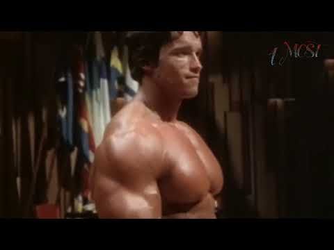 arnold schwarzenegger motivational speech ehere he talks about people saying he cant act