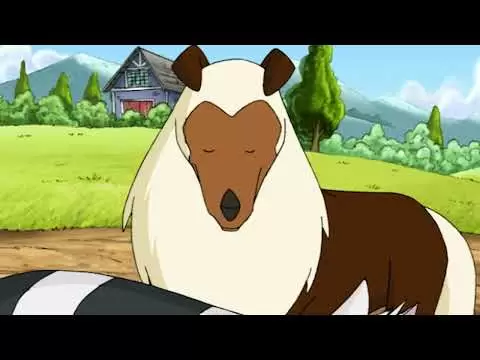 horseland favourites a new development compilation cartoons for kids