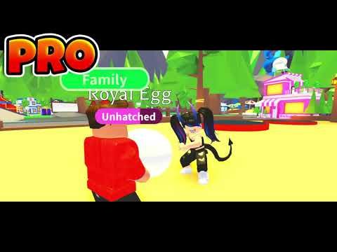 Noob Vs Pro Vs Robux Spender Family Challenge In Ytread - how to get a robux spender on roblox