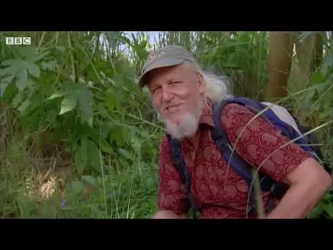 snake bites compared in slow mo spectacled cobra vs saw scaled viper bbc earth