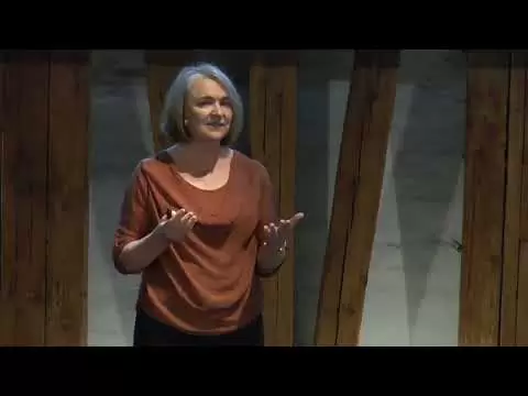 the craziness of research funding it costs us all geraldine fitzpatrick tedxtuwien