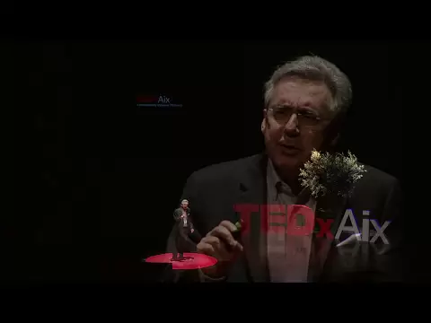 the myth of globalisation peter alfandary tedxaix